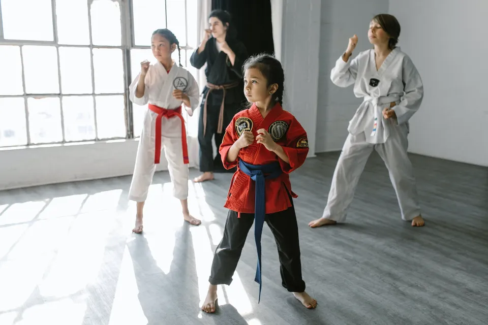 Is Karate a Sport? Reasons For And Against It